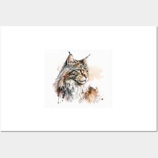 Maine Coon Cat Watercolour Painting Posters and Art